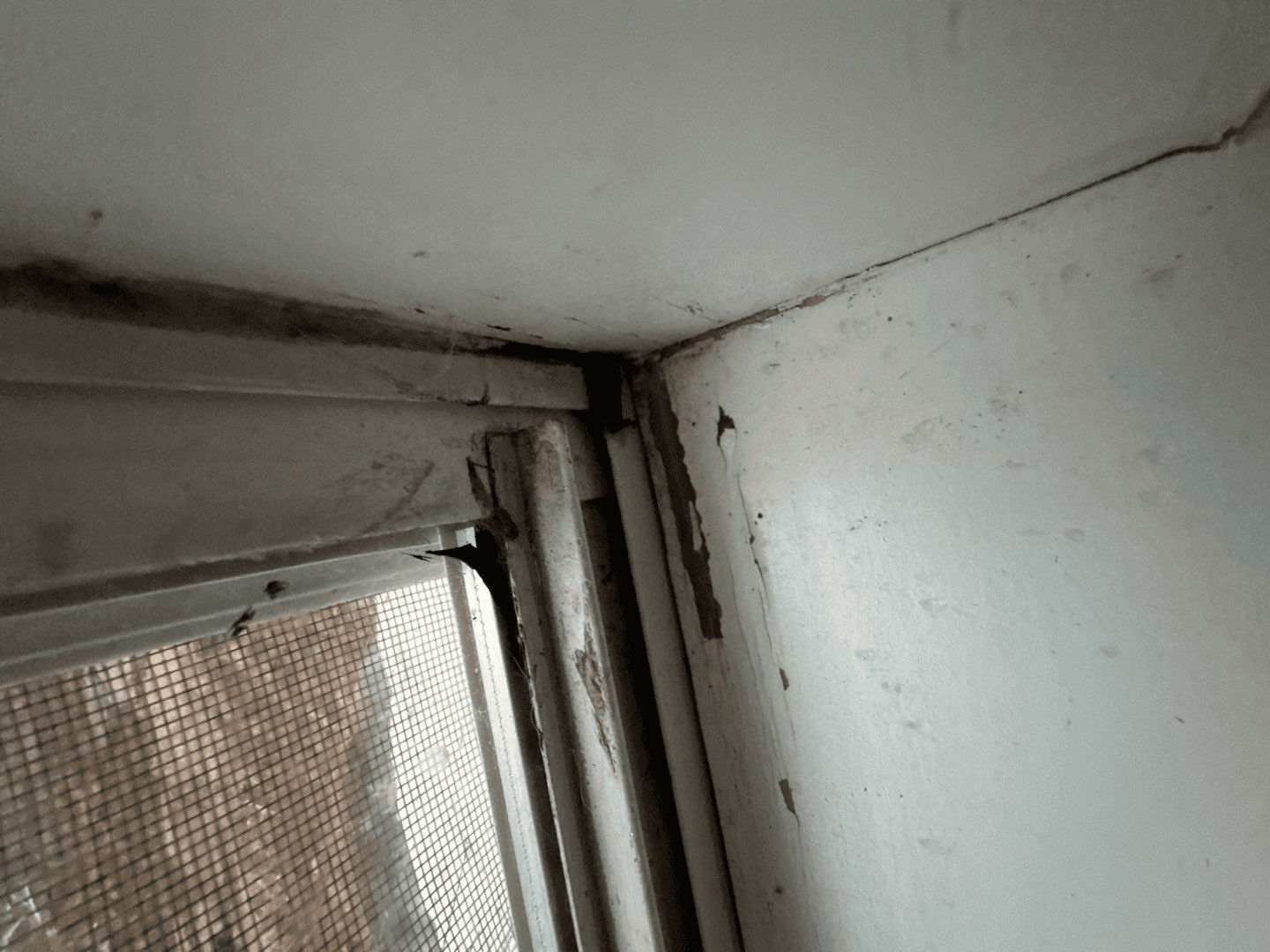 Austin hail and wind roof damage example
